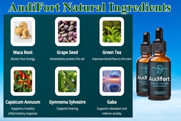 AudiFort Ingredients