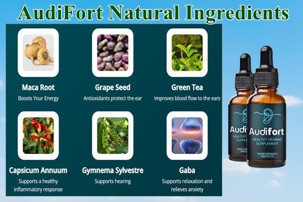 AudiFort Ingredients